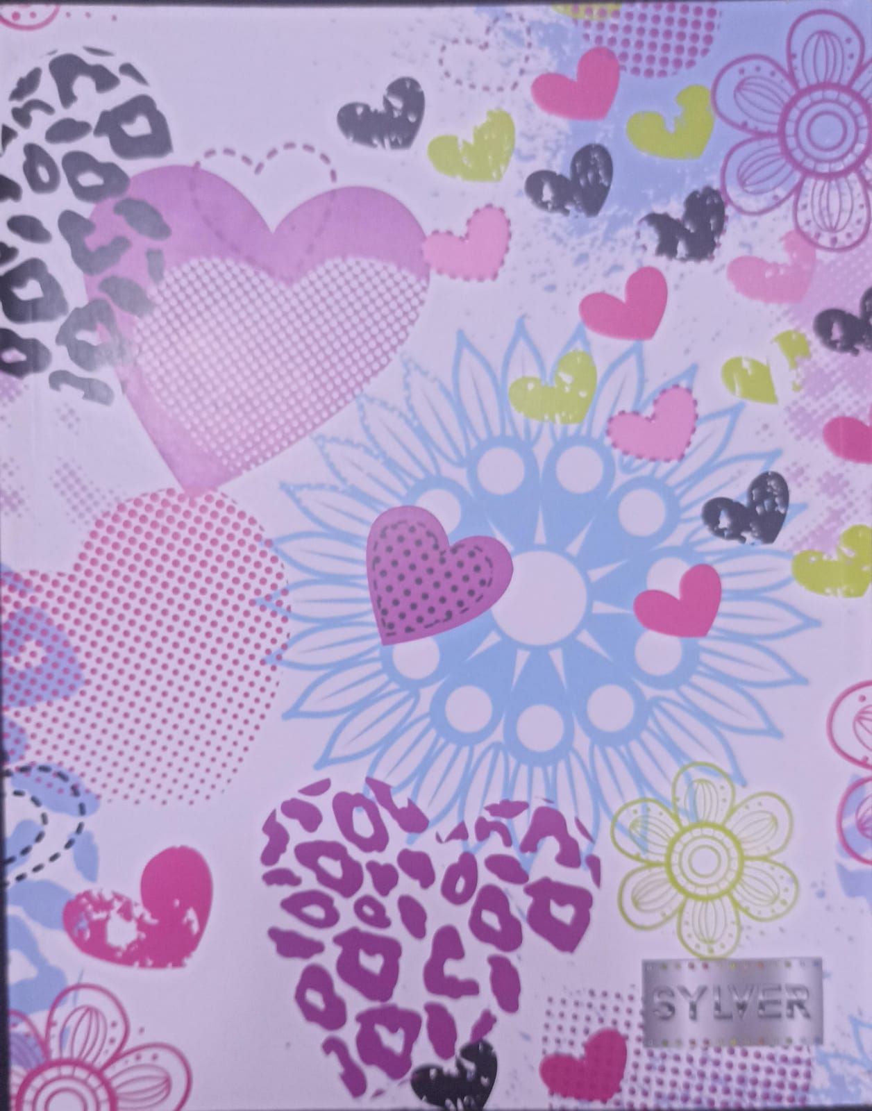 Cahier 288 page SYLVER A5