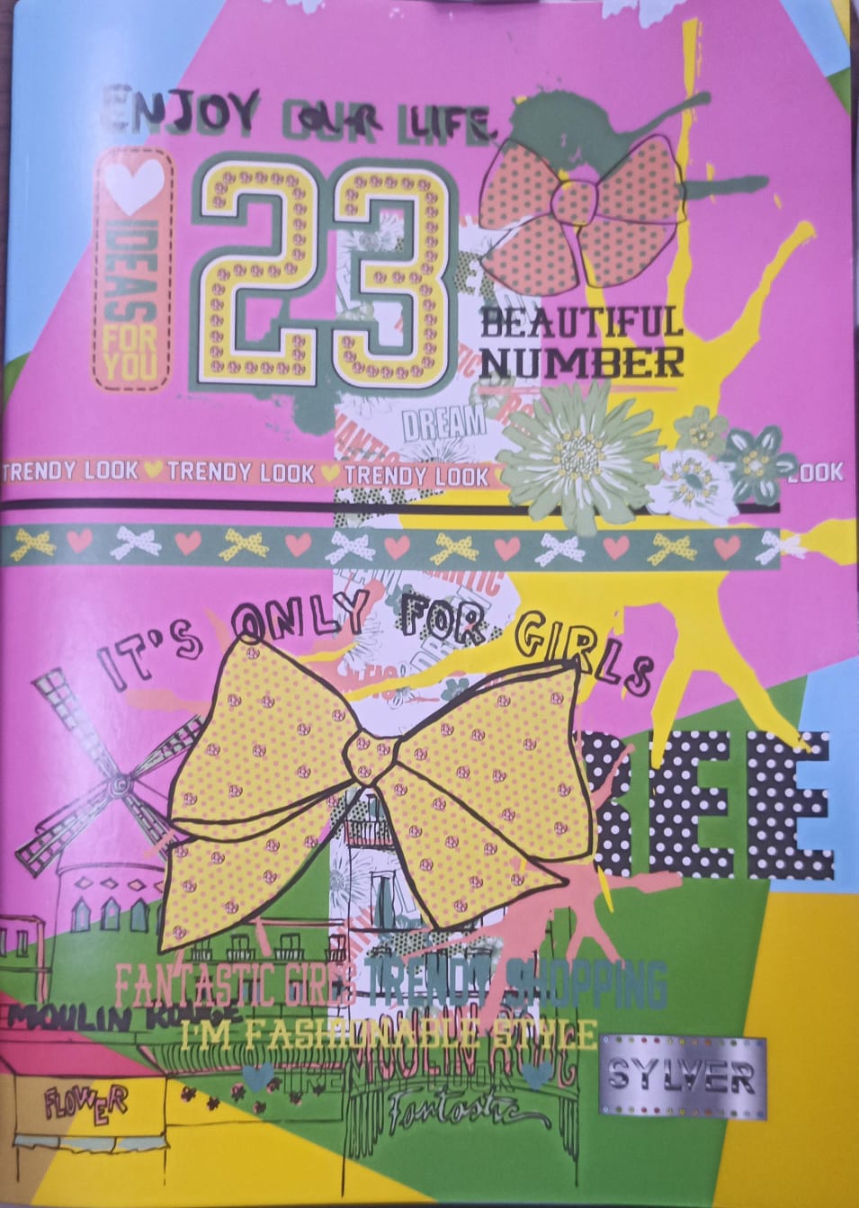 Cahier 192 page SYLVER A4