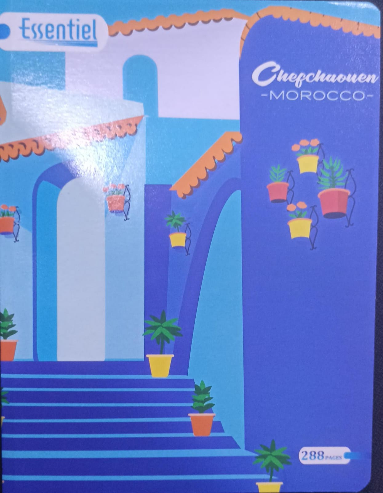 Cahier 288 page Essentiel A5