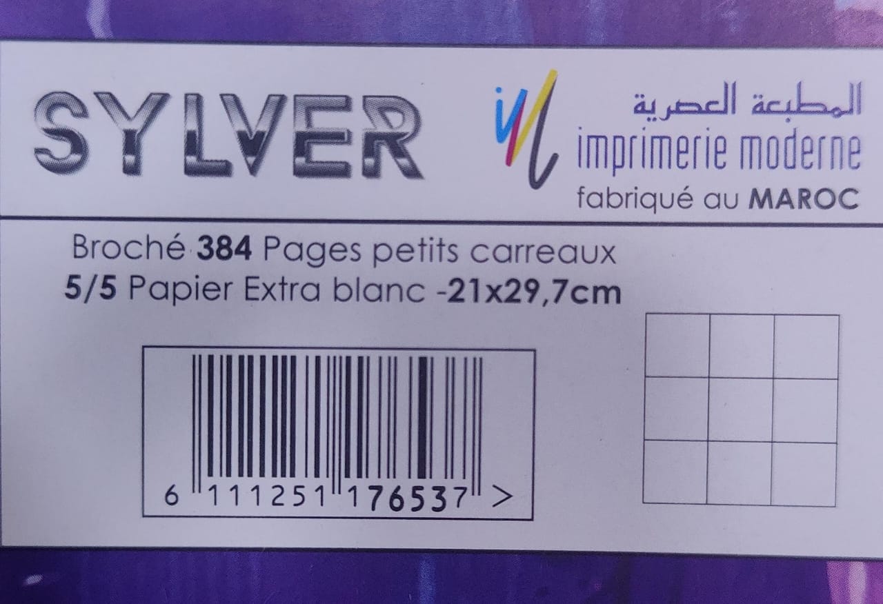 Cahier 384 page A4 SYLVER 5/5